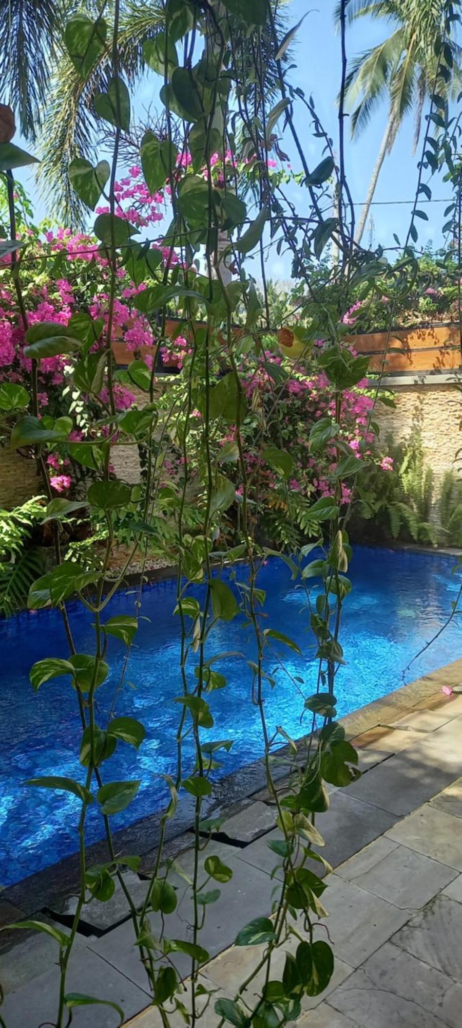Ferienhaus Jasmine
